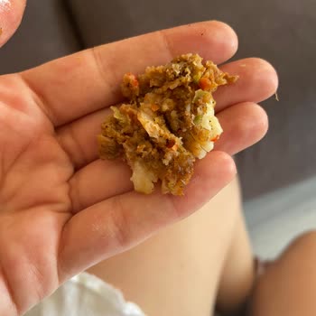 Pidenin İçinden Çıkan Saç Nedeniyle Yaşadığım Hijyen Endişesi