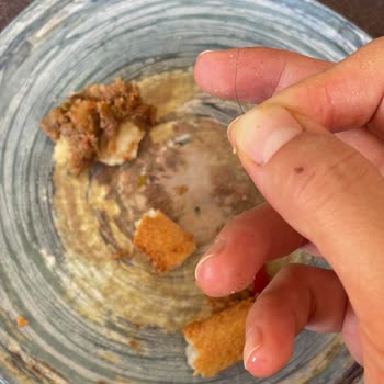 Pidenin İçinden Çıkan Saç Nedeniyle Yaşadığım Hijyen Endişesi