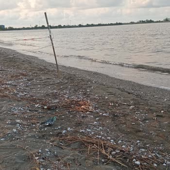 Yalı Mahallesi Sahilinde Ciddi Çevre Kirliliği Ve İhmal