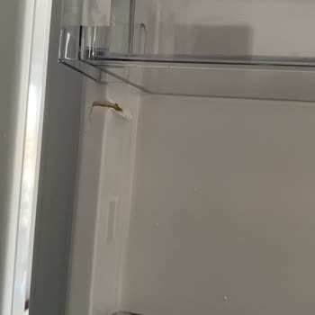 Satın Aldığım Buzdolabının Kırık Çıkması Ve İlgisizlik