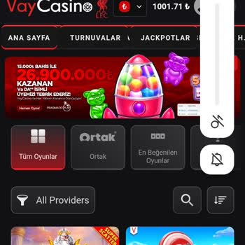 Vaycasino Yatırım Sonrası Oyun Erişim Sorunu ve Hesap Bakiyesi Hatası