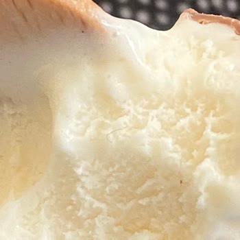 Magnum Dondurmanın İçinden Çıkan Kalın Siyah Kıl Şokunu Yaşadım