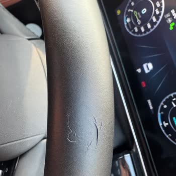 Yeni Araçta Direksiyon Derisi Sorunu: Acil Çözüm Bekliyorum