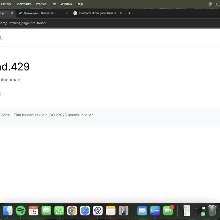 VFS Vize Başvurusu Onaylandıktan Sonra Siteye Erişemiyorum