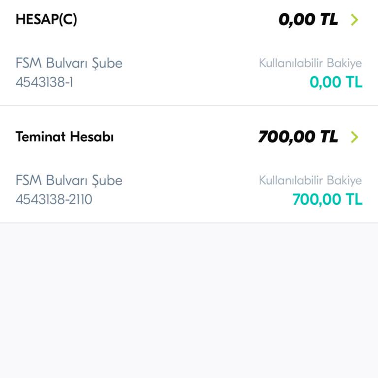 Acil İhtiyaç İçin Teminat Hesabımdaki Paraya Ulaşamıyorum