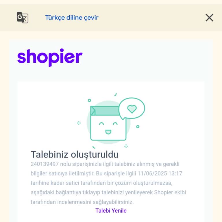 Teslim Edilmeyen Sipariş Ve İade Sorunu: Shopier'den Paramı Alamıyorum