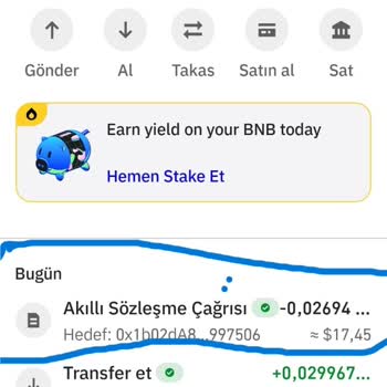 Trust Wallet'tan Gönderdiğim BNB'nin Akıbeti Belirsiz, Param Kayboldu