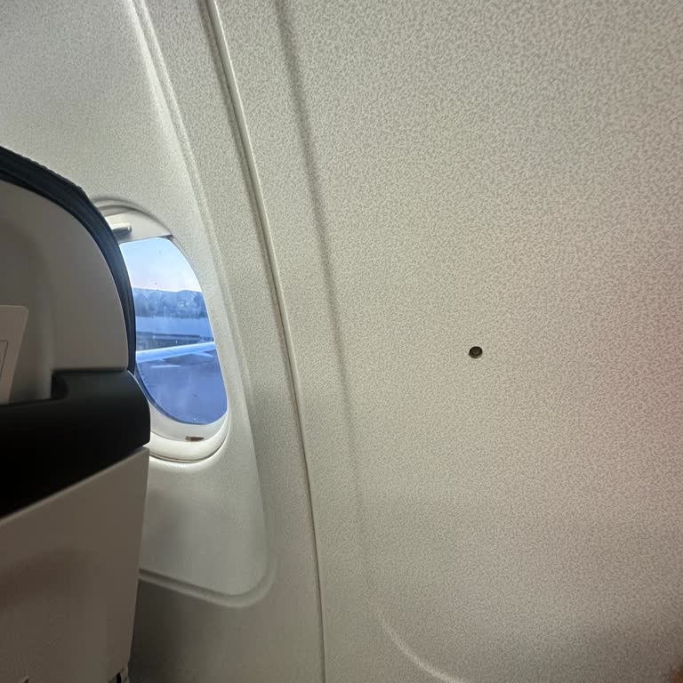 Check-in Hatası Ve Koltuk Ataması Sorunu Yolculuğumu Mahvetti