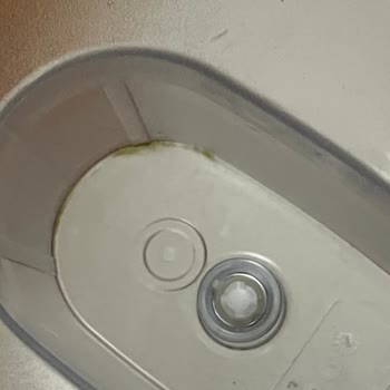 Brita Sürahi Kısa Sürede Yosunlandı, Temizlenemiyor