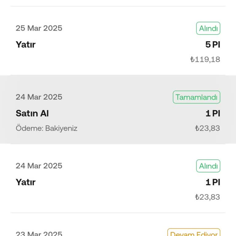 Okx TR'de Pi Coin Transferi 3 Aydır Hesabıma Geçmedi