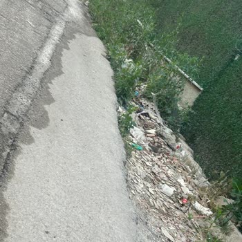 Mahallemizde Temizlik Sorunu Ve Acil Müdahale Talebi
