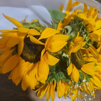 Bayat Ve Parçalanmış Çiçekler Müşteri Hizmetleri İlgisiz Kaldı