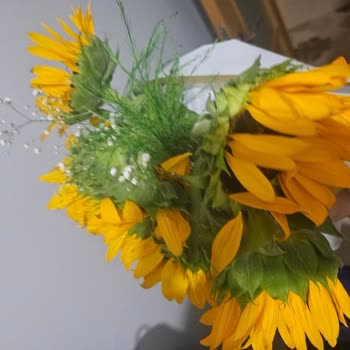 Bayat Ve Parçalanmış Çiçekler Müşteri Hizmetleri İlgisiz Kaldı