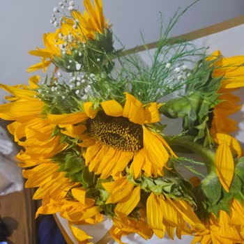 Bayat Ve Parçalanmış Çiçekler Müşteri Hizmetleri İlgisiz Kaldı