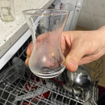 Bosch Bulaşık Makinesi Temizlik Sorunu Ve Servis Ulaşım Problemi