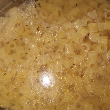 Makarna Paketinden Çıkan Böceklerle Yaşadığım Şok