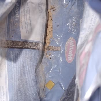 Makarna Paketinden Çıkan Böceklerle Yaşadığım Şok