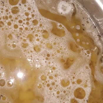 Makarna Paketinden Çıkan Böceklerle Yaşadığım Şok