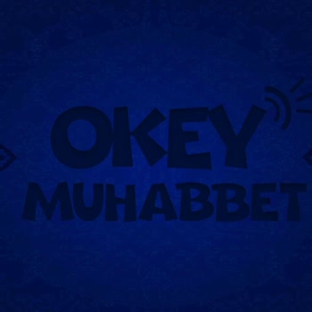 Uygulamaya Giriş Sorunu Ve Destek Talebi