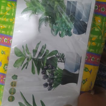 Siparişle Alakasız Ürün Gönderildi, İade Talebim Reddedildi