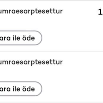 Ödeme Yapılmasına Rağmen Siparişim Gönderilmedi Ve Destek Alamadım