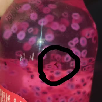 Factory İçecek Cuk Basıl Seed İçeceğinde Böcek Çıkması Şoku