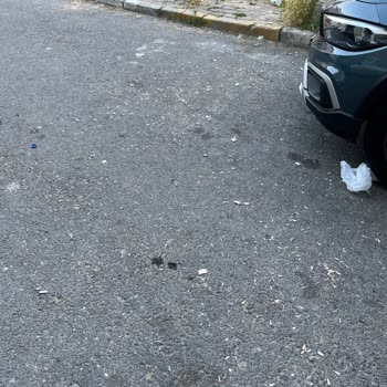 Bağcılar Belediyesi Fevzi Çakmak Mahallesinde Süpürülmeyen Sokak Sorunu