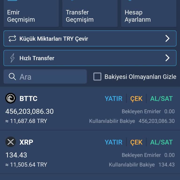 Bitexen Hesabımdaki Coinler Ve Paralar Sebepsizce Kayboldu, Acil Çözüm Bekliyorum