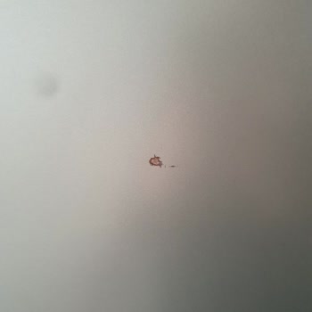 Vestel Puzzle Buzdolabında Devam Eden Arıza Ve Yetersiz Servis Hizmeti Nedeniyle Mağduriyet