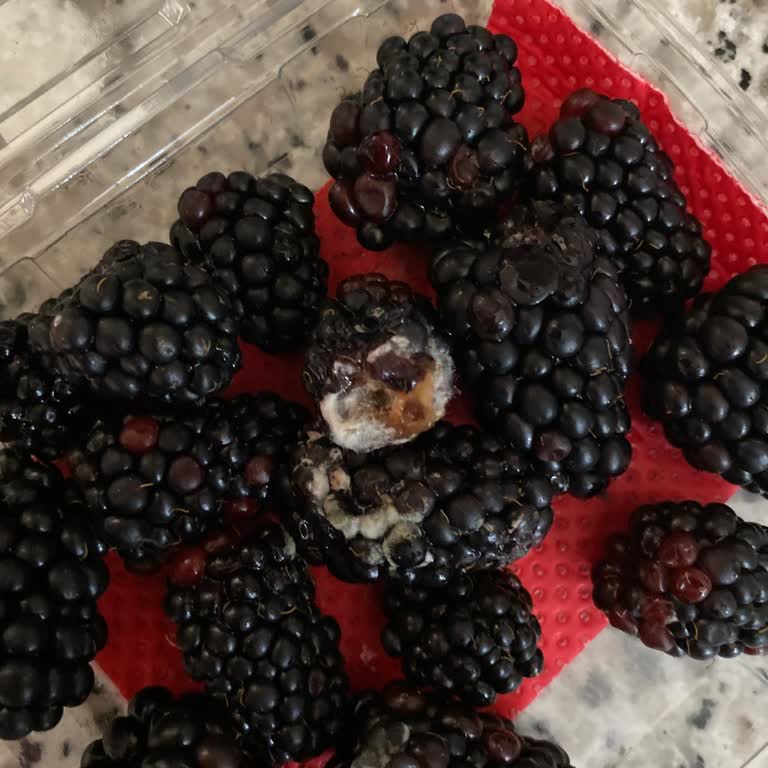 Küflü Böğürtlen Satışı Nedeniyle Hayal Kırıklığı