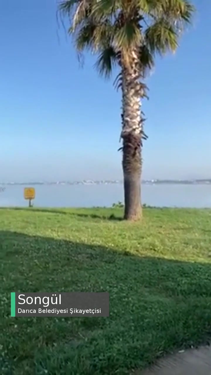 Darıca Belediyesi Sulama Fıskiyeleri İle Alakalı Sıkıntı! videonun kapak resmi