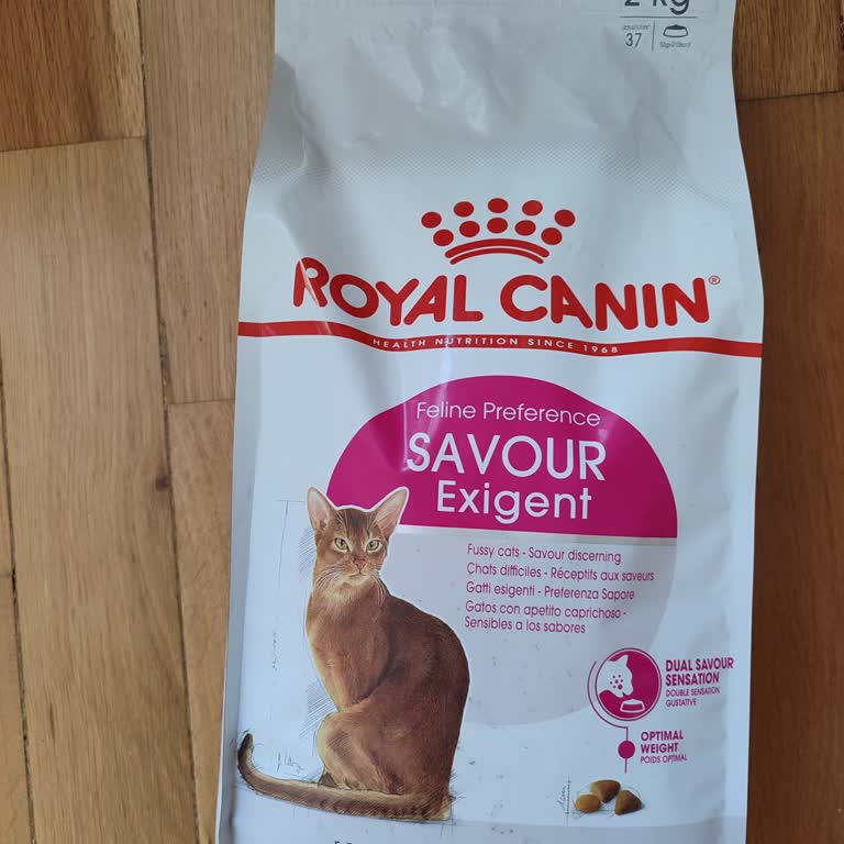 Aldığım Kedi Mamasında Sağlık Sorunu: Paramı Ve Hakkımı Nasıl Alabilirim?