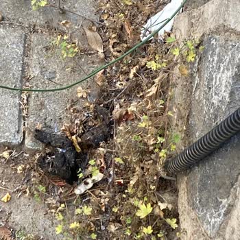 Maltepe'de 12 Yıldır Süren Temizlik Sorunu Çözülmüyor!
