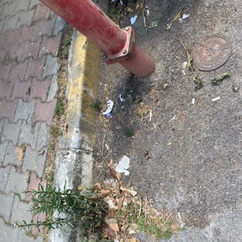 Maltepe'de 12 Yıldır Süren Temizlik Sorunu Çözülmüyor!