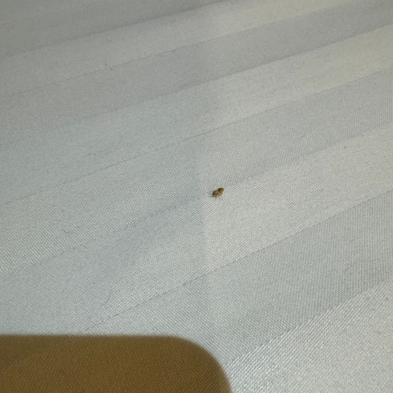 Balkanlar Turu: Rehber Davranışı, Konaklama Ve Hizmetlerde Yaşanan Ciddi Mağduriyetler