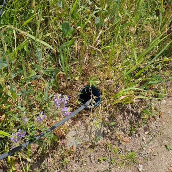 Yeni Binada Altyapı Eksikliği Nedeniyle İnternet Bağlantısı Yapılamıyor