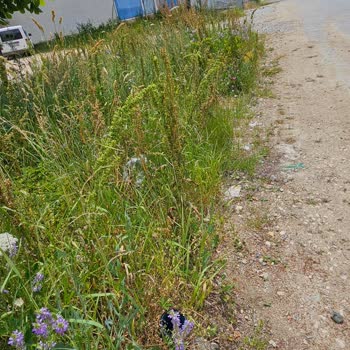 Yeni Binada Altyapı Eksikliği Nedeniyle İnternet Bağlantısı Yapılamıyor