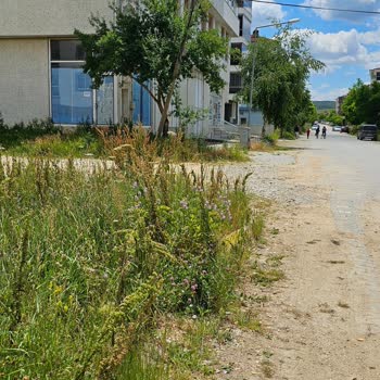 Yeni Binada Altyapı Eksikliği Nedeniyle İnternet Bağlantısı Yapılamıyor