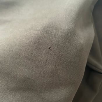 İade Ödemem Hala Yapılmadı, Mağduriyetim Giderilsin