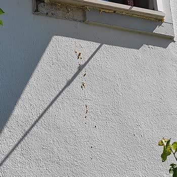 Pimapen Kusurlu Teslimat ve Montaj Sonrası Yapısal Hasarlar Giderilmiyor