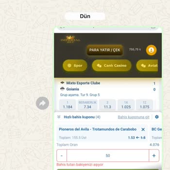 Yatırım Sonrası Hesabım Silindi Ve Destek Alamadım