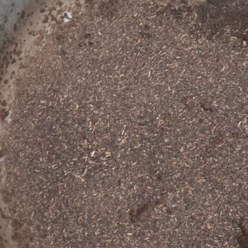 Efor Harman Çayda Ot Çıktı, Kalitesiz Ürünle Karşılaştım