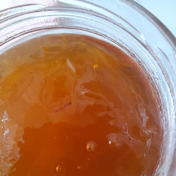 Kayısı Reçelinden Böcek Çıkması Güven Sarsıyor