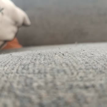 Satın Alınan Koltukların Kısa Sürede Deformasyonu ve Servis Desteği Sorunu