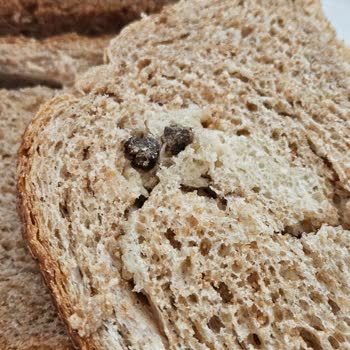 UNO Tava Ekmeğinde Yabancı Madde Ve İlgisiz Müşteri Hizmeti