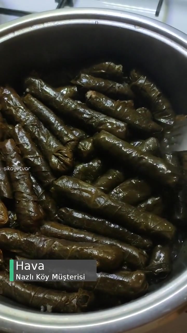 Nazlı Köy Sert Damarlı Pişmeyen Yaprak Sorunu videonun kapak resmi