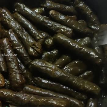 Nazlı Köy Sert Damarlı Pişmeyen Yaprak Sorunu