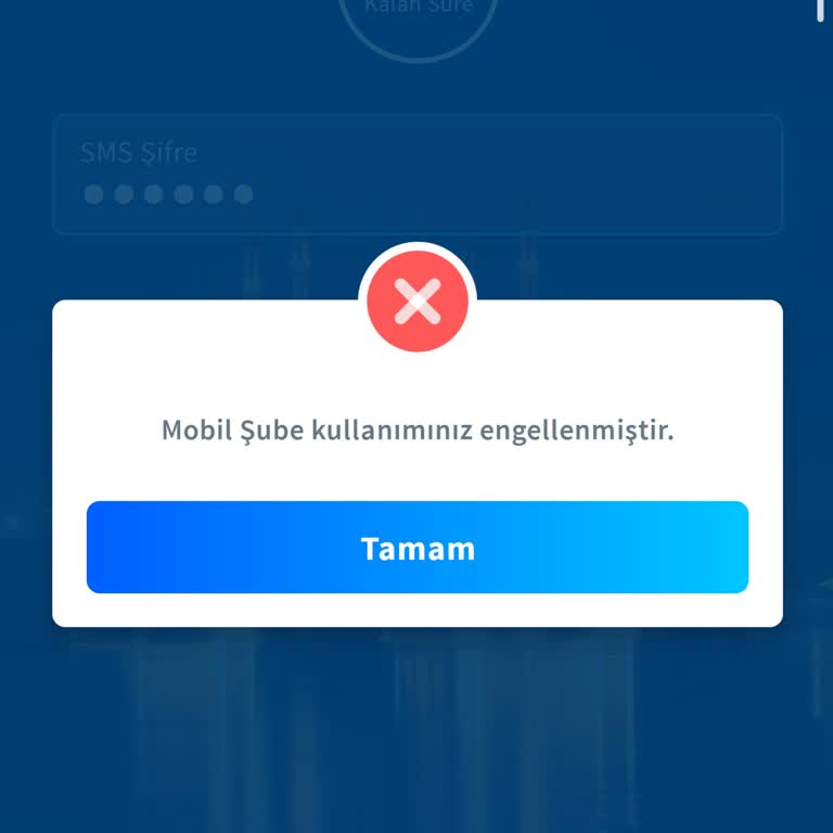 Maaş Müşterisinin İnternet Şubesine Erişememesi Mağduriyet Yaratıyor