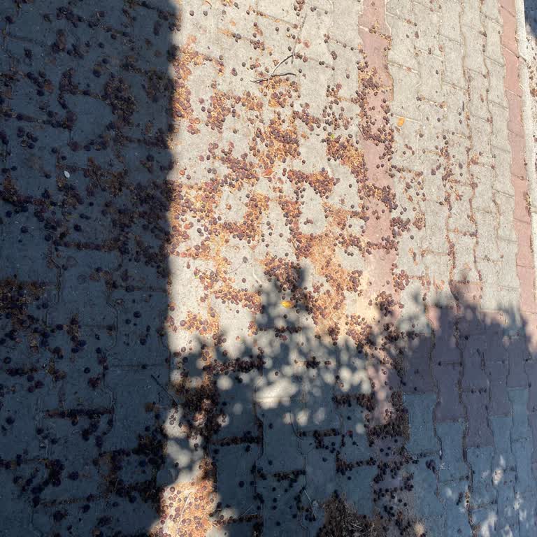 Yolların Temizlenmemesi Gündelik Hayatımı Zorlaştırıyor