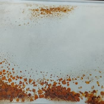 Bosch Midi Fırından Çıkan Sıvı Nedeniyle Garanti Dışında Bırakıldım